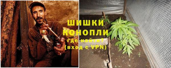 мет Новозыбков