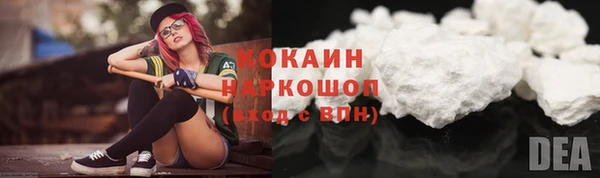 мет Новозыбков