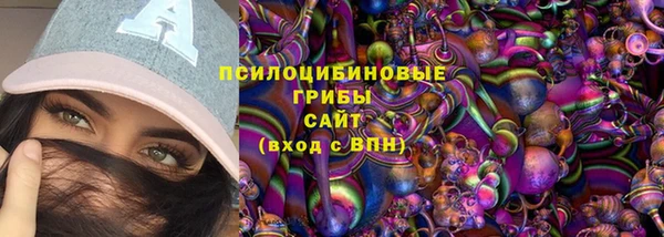 прущая мука Новодвинск