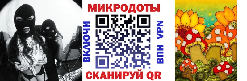 darknet какой сайт  продажа наркотиков  Медынь  Псилоцибиновые грибы GOLDEN TEACHER 