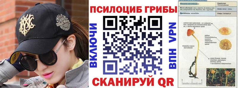 Галлюциногенные грибы мицелий Медынь